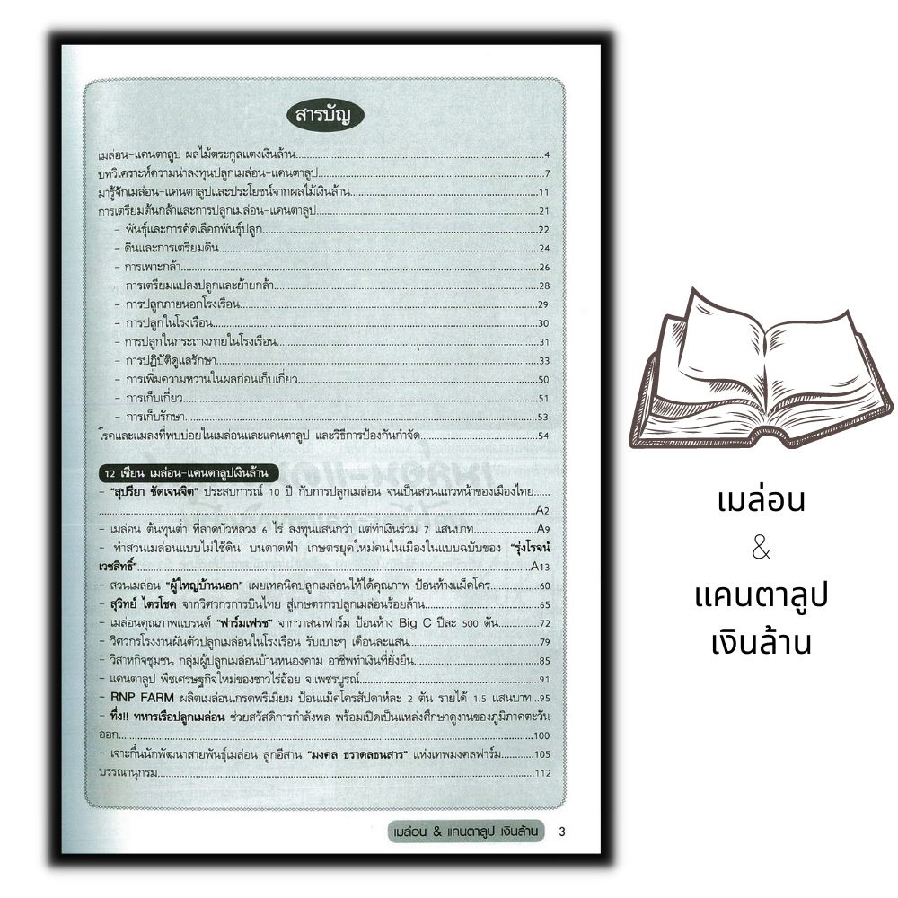 หนังสือ-เมล่อน-amp-แคนตาลูป-เงินล้าน-ผลไม้-พืชและการเกษตร-การปลูกผลไม้-พืชเศรษฐกิจ