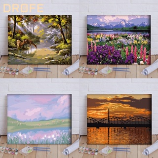 Drofe 【ไร้กรอบ 40 * 50 ซม. 】ภาพวาดสีอะคริลิค บนผ้าใบ ตามตัวเลข สําหรับตกแต่งบ้าน ของขวัญ