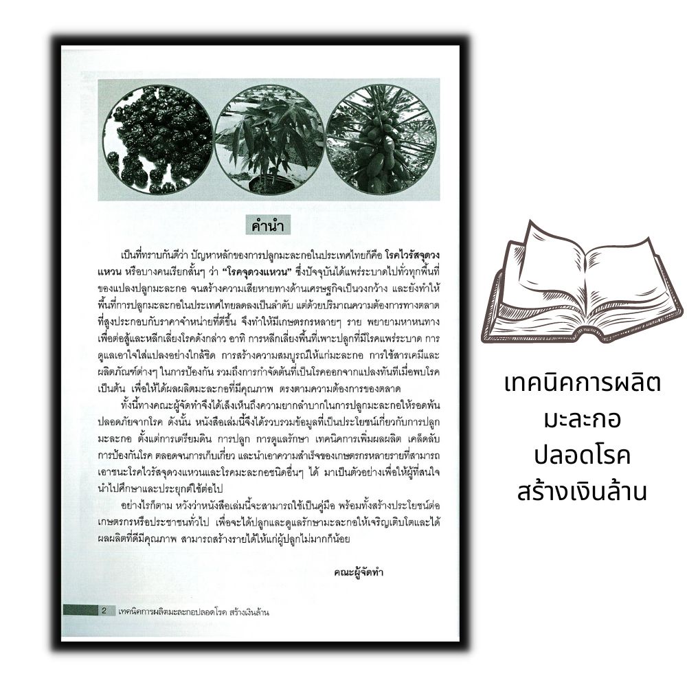 หนังสือ-เทคนิคการผลิตมะละกอปลอดโรค-สร้างเงินล้าน-พืชและการเกษตร-การลงทุน