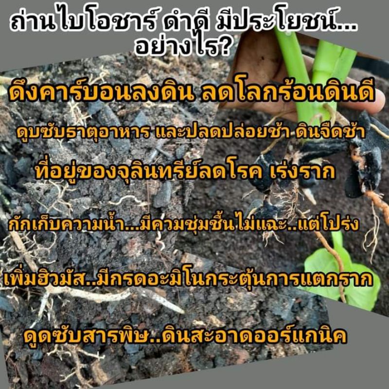 ถ่านไบโอชาร์การเกษตรเบอร์mแพค1กก