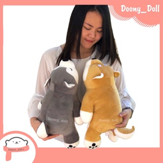 Doony_doll ส่งเร็ว จากกทม ตุ๊กตา หมาชิบะ หมาไซบีเรียน 55cm ของขวัญวันเกิด ของขวัญให้แฟน วาเลนไทน์ ของขวัญปัจฉิม หมอนข้าง