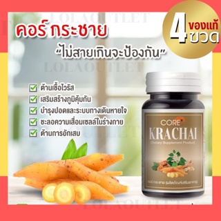 CORE KRACHAI คอร์ กระชาย สมุนไพรกระชาย กระชายกระชายอัดเม็ด กระชายแคปซูล ต้านหวัด ปอด ทางเดินหายใจ สมุนไพรสกัด 4กระปุก