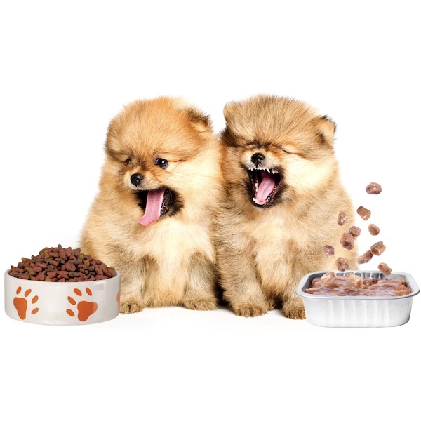 royal-canin-pomeranion-adult-1-5kg-อาหารสุนัข-รอยัลคานิน-ปอม-สุนัขโต-ปอมเมอราเนี่ยน-อาหารเม็ด-สุนัข-พันธ์-pomeranian
