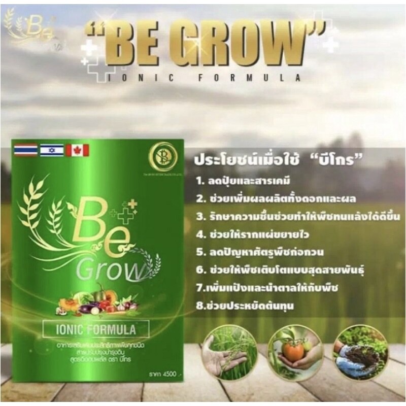 ปุ๋ยชีวภาพ-be-grow-3-ซอง-บีโกร-ปุ๋ยบีโกร-ของแท้-100-ปุ๋ย-สารเพิ่มประสิทธิภาพพืช-อาหารเสริมพืช-1-ซอง-ผสมน้ำ-800-ลิตร