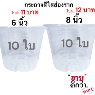 กระถางใสส่องราก 8 นิ้ว 10 ใบ [4 นิ้ว 6 นิ้ว 10 นิ้ว 12 นิ้ว 15 นิ้ว]