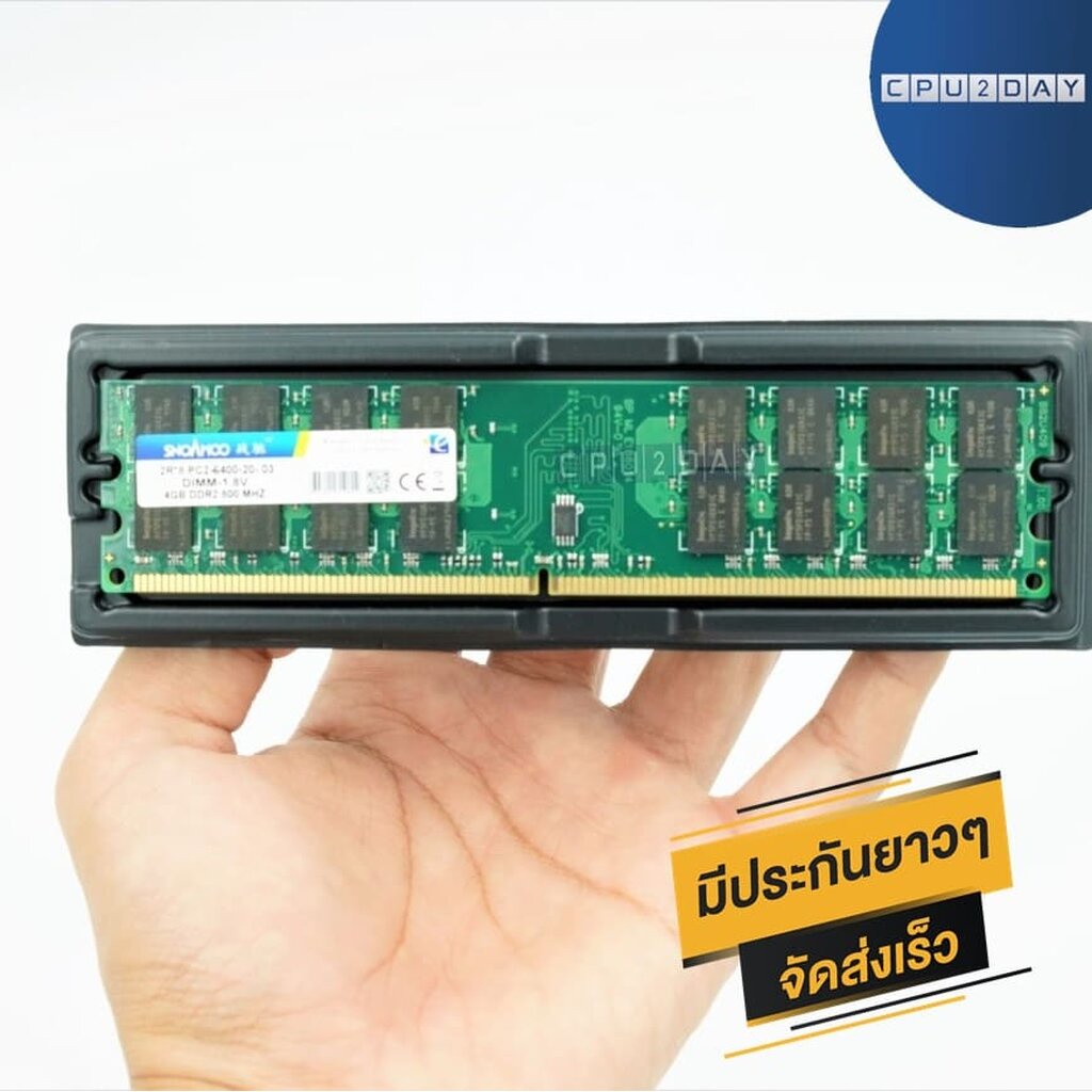 ram-ddr2-800-4gb-for-amd-เท่านั้น-ราคาสุดคุ้ม-คุณภาพดี-พร้อมส่ง-ส่งเร็ว-ประกันไทย-cpu2day