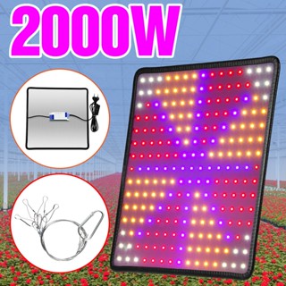 โคมไฟควอนตัม LED 220V 2000W สําหรับปลูกพืชเรือนกระจก ดอกไม้ ผัก