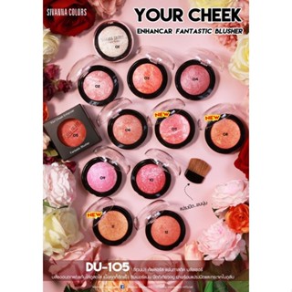 DU105 Your cheek enhancar  fantastic  blusher : DU-105