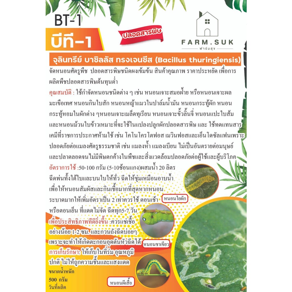 บีที-1-bt-1-จุลินทรีย์-บาซิลลัส-ทรงเจนซีส-bacillus-thuringiensis-ปลอดสารพิษ-กำจัดหนอนศัตรูพืช-ปลอดสารพิษ