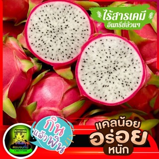 🥝แก้วมังกรขาว 1 โล ลูกสวยๆ ด้วยขนาดและรสชาติที่มากกว่า ปลอดสาร เนื้อขาวหวานอมเปรี้ยวนิดๆ✨
