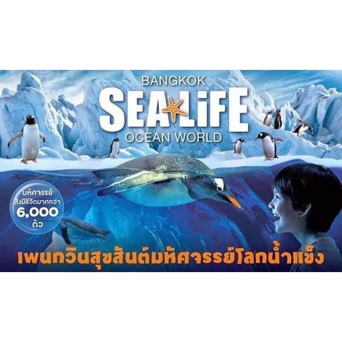 ภาพหน้าปกสินค้าบัตรเข้าชมซีไลฟ์ แบงคอก Sea Life Bangkok