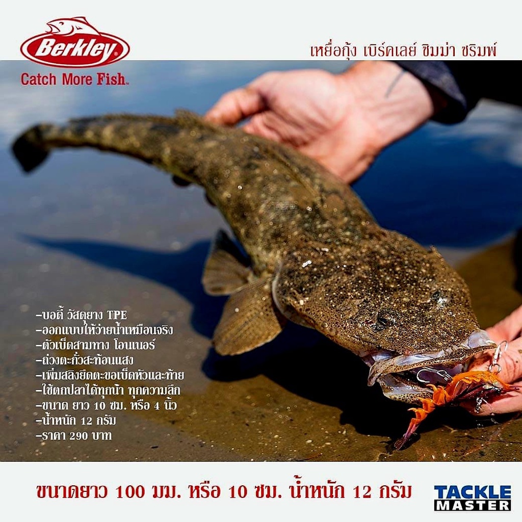 เหยื่อ-berkley-shimma-shimp