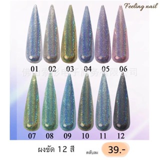 ผงขัด 12 สี ผงขัดเล็บ 39.-