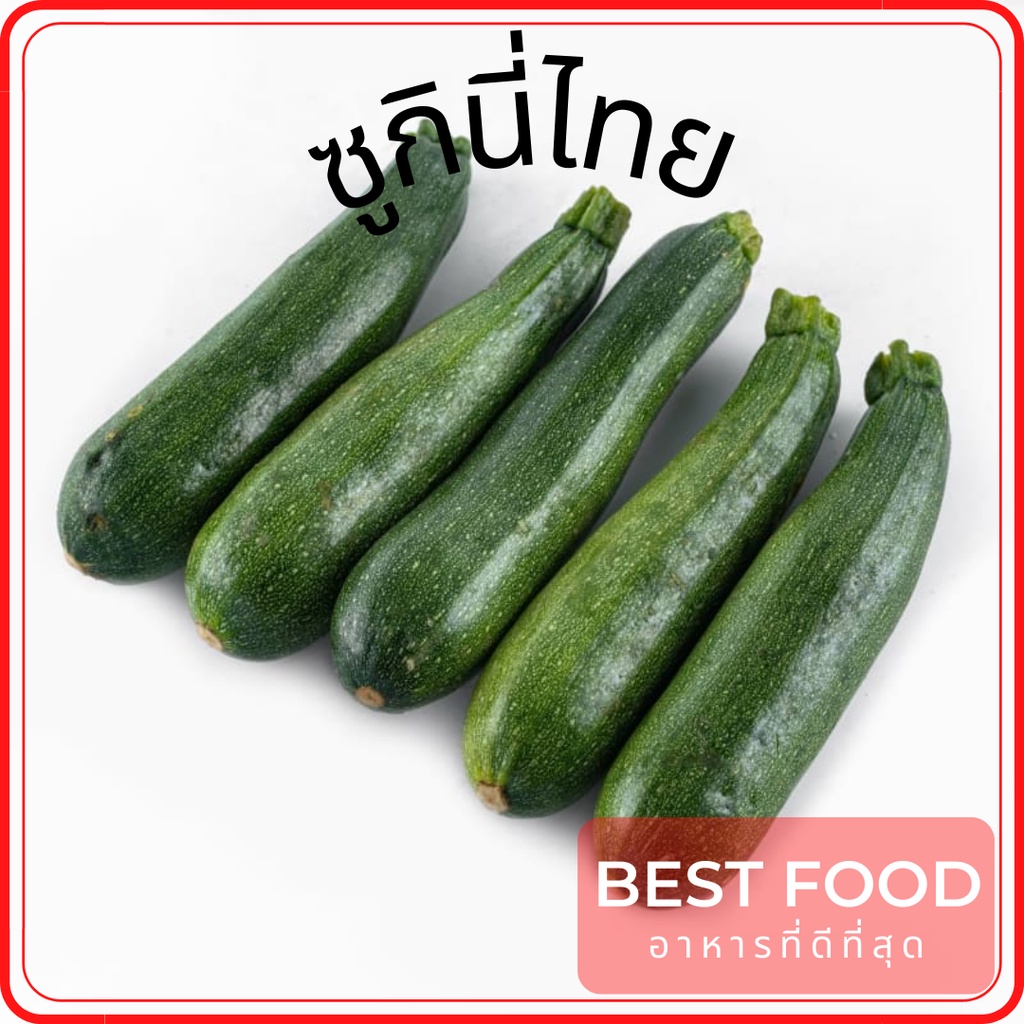 ซูกินี่ไทย-zucchini-ราคาถูก