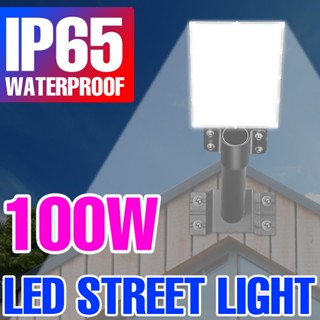 โคมไฟ LED 220V 100W IP65 กันน้ํา AC180-240V สําหรับตกแต่งสวน ลานบ้าน