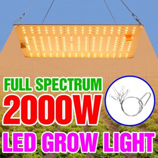 โคมไฟ LED 3000W 85-265V หรี่แสงได้ 2000W 110V สําหรับปลูกพืชในร่ม