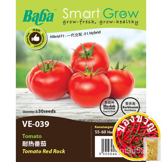 baba-ve-039-smart-grow-tomato-red-rock-seed-เชอร์-30เม็ตต์-ขายดี-restock-on-demand-เมล็ดพันธุ์พืชน้ำ-ชุดชั้นใน-elw