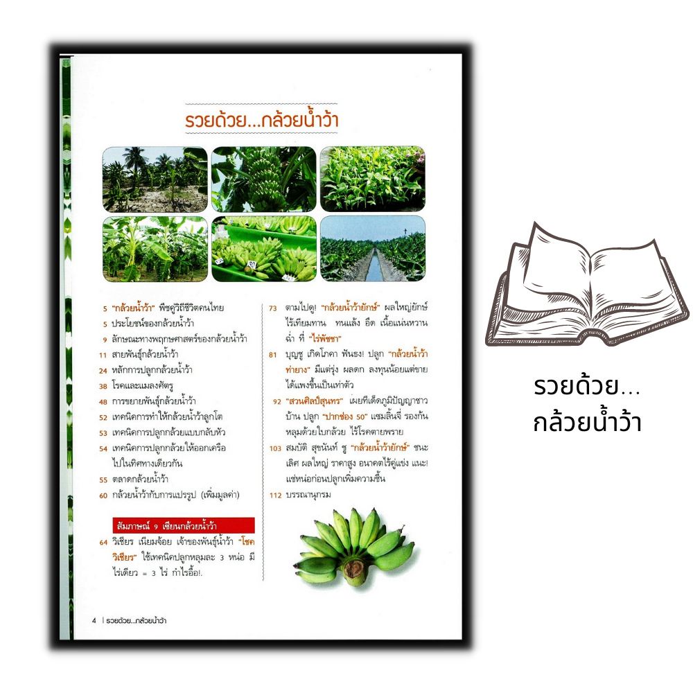 หนังสือ-รวยด้วย-กล้วยน้ำว้า-ผลไม้-พืชและการเกษตร-การปลูกกล้วย