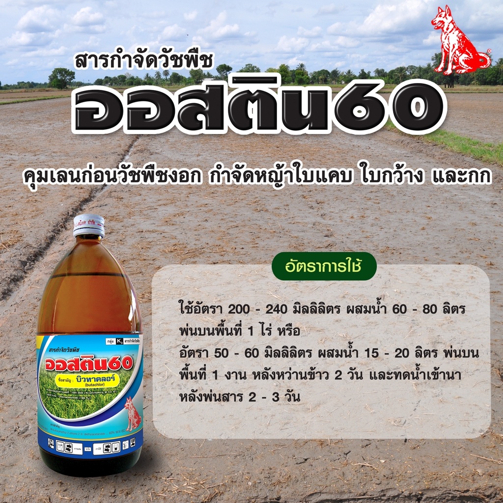 ออสติน60-ขนาด-1-ลิตร-สารกำจัดวัชพืช