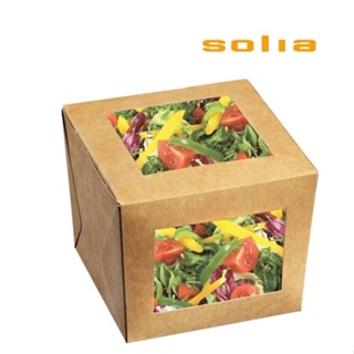 Solia ES32801 Snacking Cube Box with 2 Windo 100x100x80