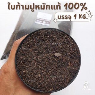 ใบก้ามปูหมักล้วน 100% ร่อนละเอียด บรรจุ 1kg ไม่ผสมดิน-ปุ๋ย ไว้ผสมดินปลูกต้นไม้ ไม้ใบ ไม้ประดับ บอนสี  แคคตัส ปลู