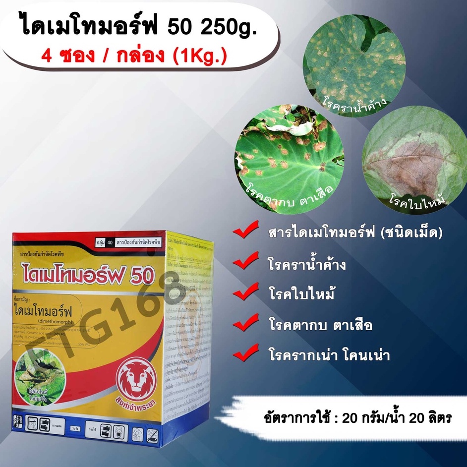 ไดเมโทมอร์ฟ-50-250g-ไดเมโทมอร์ฟ-สารกำจัดกำจัดเชื้อรา-สารกำจัดโรคพืช-โรคราน้ำค้าง-โรคใบไหม้-โรครากเน่าโคนเน่า-โรคตากบ