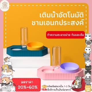 ♥ 𝗮𝗹𝗹𝘀𝘁𝗮𝗿 ♥ ชามอาหารสัตว์ เครื่องให้อาหารสุนัขและแมวอัตโนมัติ สีพาสเทล เครื่องให้อาหาร ชามข้าว ชามอาหาร หมา แมว พร้อมส่ง