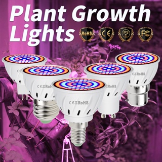 โคมไฟ LED E14 E27 Full Spectrum AC220V MR16 สําหรับช่วยให้พืชอวบน้ํา เพาะพันธุ์พืช ดอกไม้