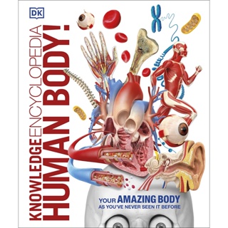Knowledge Encyclopedia Human Body Hardback Knowledge Encyclopedias English