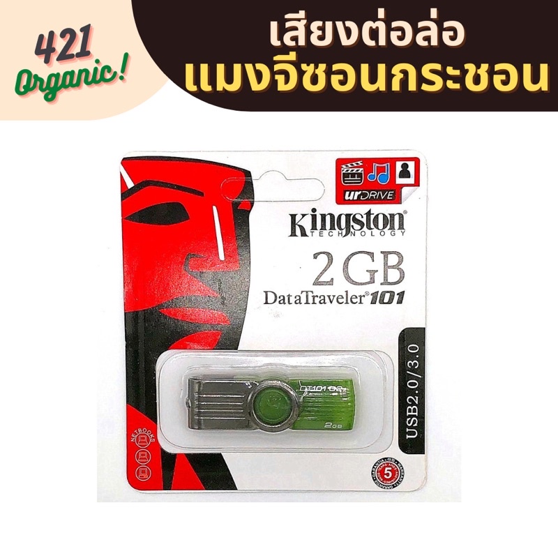 เสียงต่อ-เสียงล่อแมงจีซอน-เสียงแมงกระชอน-แฟลชไดร์ฟเสียงแมงกระชอน-ชัด-ใส-ไม่มีโฆษณา-hd-มีเก็บปลายทาง