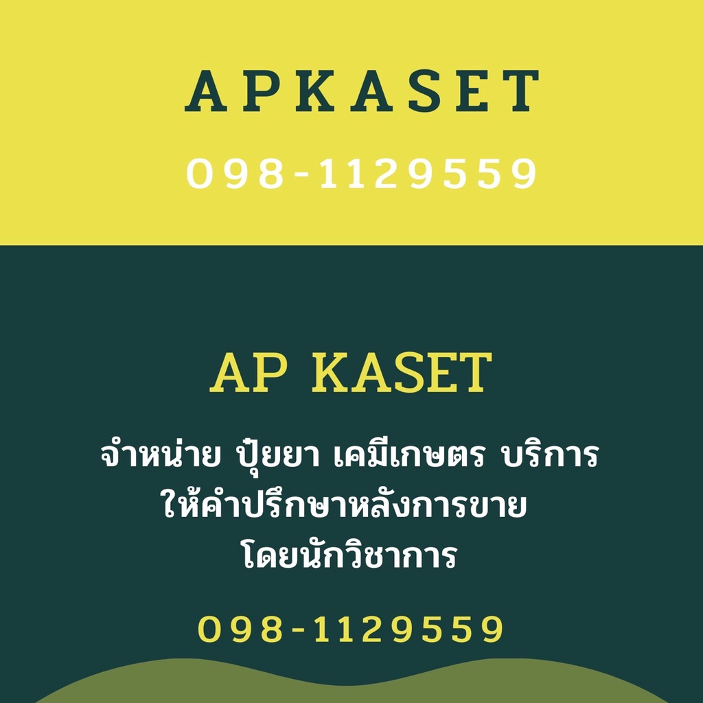 ยากำจัดแมลง-ไลซินัส-กำจัดไส้เดือนฝอยรากปม-พาซิโลมัยซิส-ไลลาซินัส-เพลี้ยหอยรากำมะหยี่-เพลี้ยหอยนาสาร-ขนาด-1-กิโลกรัม