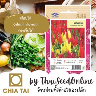 สินค้า CTFW เมล็ดพันธุ์ดอกไม้ สร้อยไก่คละสี 0.1กรัม ตราเจียไต๋ เมล็ดดอกไม้ Celosia Plumosa