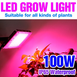 หลอดไฟปลูกพืชไฮโดรโปนิก LED 100W 220V สําหรับปลูกพืชในร่ม และเรือนกระจก