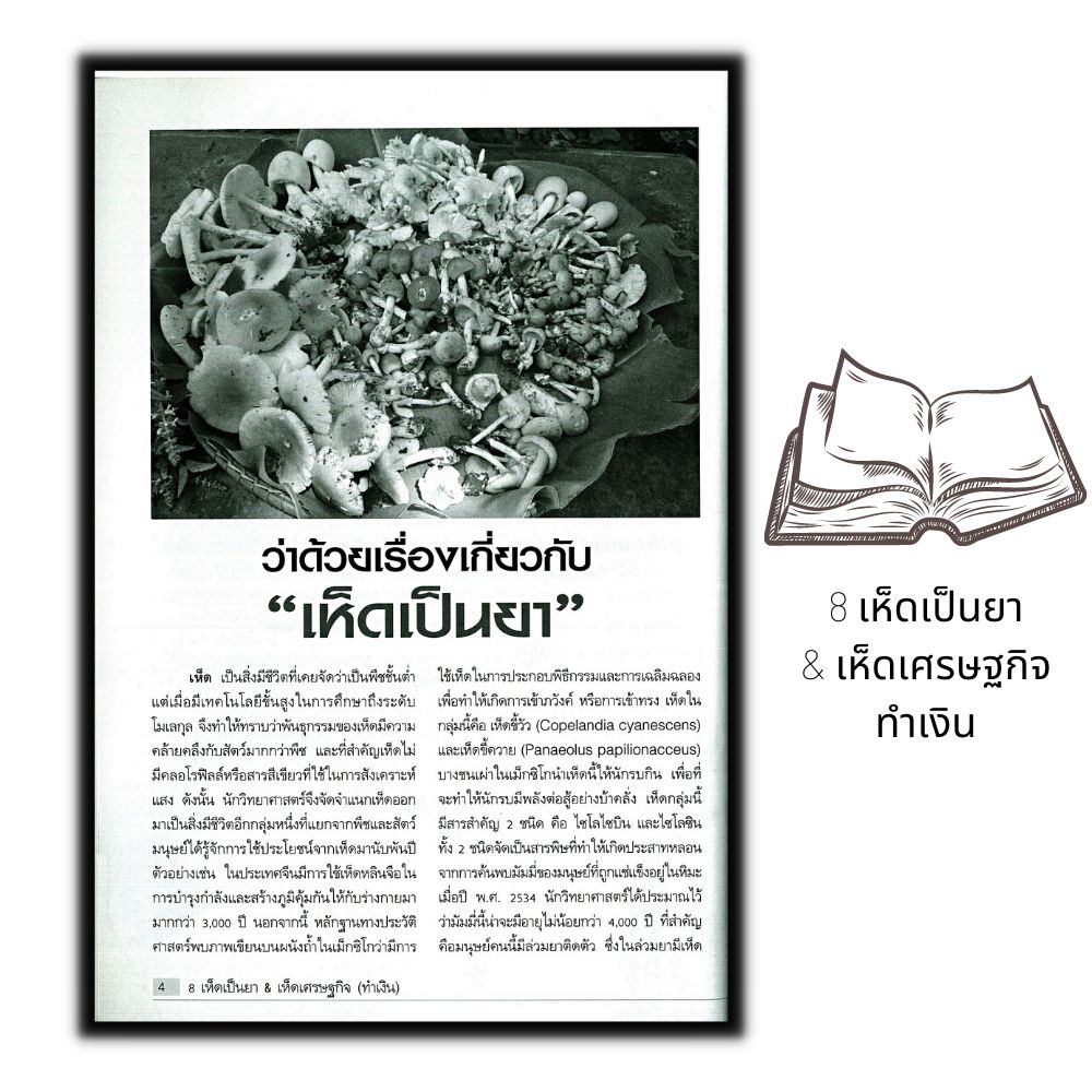 หนังสือ-8-เห็ดเป็นยา-amp-เห็ดเศรษฐกิจ-ทำเงิน-พืชและการเกษตร-เห็ด-การเพาะเห็ด-พืชเศรษฐกิจ