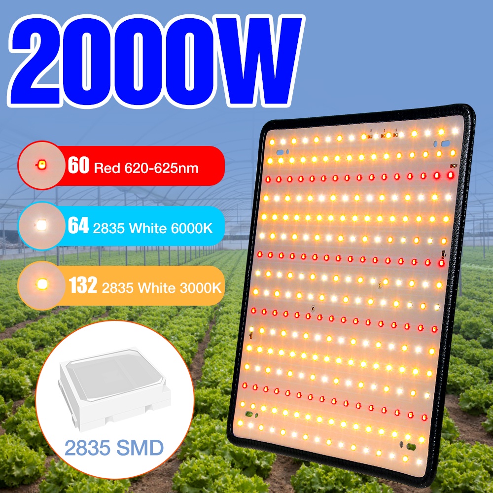 220v-full-spectrum-led-grow-light-2000w-ไฟปลุกต้นไม้-ไฟช่วยต้นไม้โตเร็ว-แสงขาว-แสงธรรมชาติ-มีสวิตช์ปิดเปิด-สายไฟยาว1-5โมต