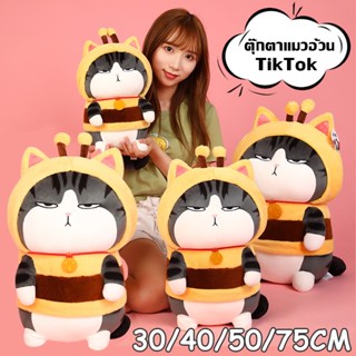 【พร้อมส่ง】ตุ๊กตา ตุ๊กตาแมวอ้วน กำลังฮิตใน TikTok หมอนตุ๊กตาแมว My Royal Wan แมวจักรพรรดิ ตุ๊กตาตัวใหญ่ ของเล่นตุ๊กตา