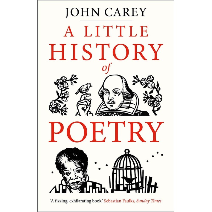 a-little-history-of-poetry-paperback-little-histories-english