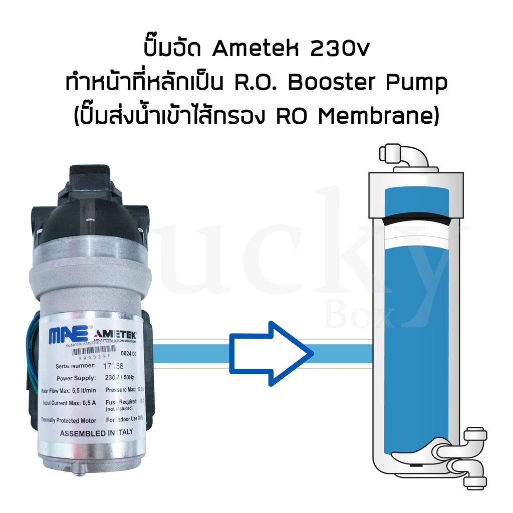 ametekปั๊มอัด230vปั๊มส่งน้ำเข้าไส้กรอง