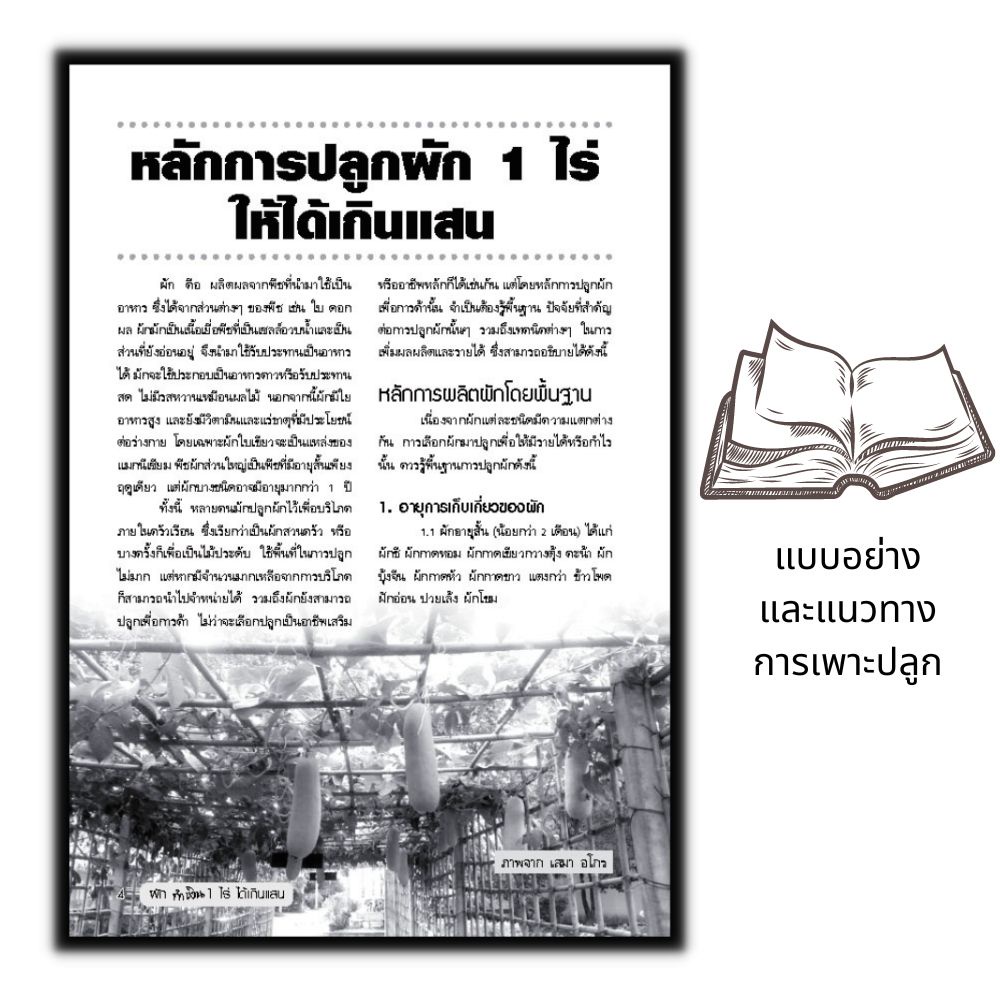 หนังสือ-ผักทำเงิน-1-ไร่-ได้เกินแสน-พืชและการเกษตร-การปลูกพืช-พืชเศรษฐกิจ