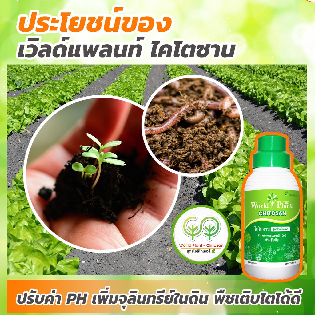 เวิลด์แพลนท์-ไคโตซาน-worldplant-chitosan-คู่หูมหัศจรรย์-เวิลด์แพลนท์-สารอาหารทางใบ-สารเพิ่มประสิทธิภาพ-ไคโตซาน-1-set