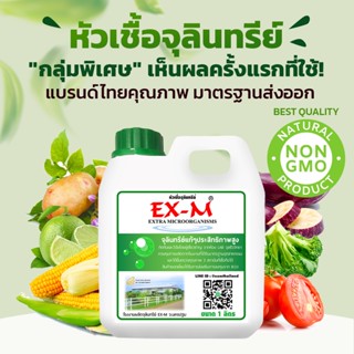 EM หัวเชื้อจุลินทรีย์ EX-M อีเอ็ม เร่งราก บำรุงใบ ดินดี แบรนด์ไทยคุณภาพส่งออก ขนาด 1 ลิตร ของแท้ 100%