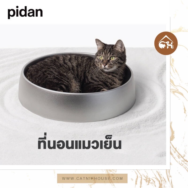 ถูกสุด-พร้อมส่ง-pidan-กระทะแมวเย็น-ที่นอนเย็นสัตว์เลี้ยง-แบบอลูมิเนียม-สำหรับสัตว์เลี้ยง