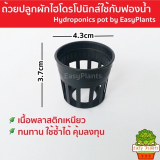 ถ้วยปลูกผักไฮโดรโปนิกส์ สีดำ แพ๊ค 50 และ 100 ใบ ถ้วยปลูก กระถางปลูก เนื้อเหนียว ทนทาน ใช้ได้หลายรอบปลูก