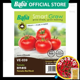 Baba VE-039 Smart Grow Tomato Red Rock SEED-เชอร์ [30เม็ตต์] [ขายดี! Restock On Demand] เมล็ดพันธุ์พืชน้ำ/ชุดชั้นใน/ ELW