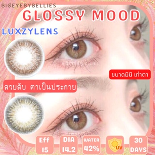 🔥 คอนแทคเลนส์ ✨ขนาดมินิ✨ Glossy Mood ✨Luxzylens