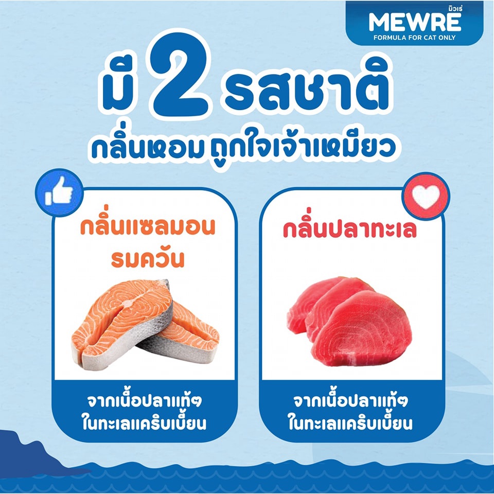 ภาพสินค้าMewre มิวเร่ น้ำดื่มสำหรับแมว น้ำแมว คละกลิ่น 2 ขวด  ขนาด 1L. จากร้าน mewreth บน Shopee ภาพที่ 3