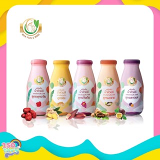 Milk Plus and More น้ำหัวปลี สกัดเข้มข้นผสมอิทผลัม Natural Milk Plus &amp; More (มิลค์พลัสแอนด์มอร์)