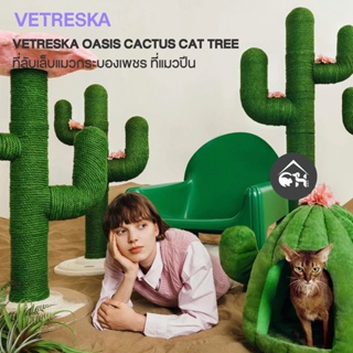 [ของแท้]🔥ถูกสุด! 🔥Vetreska Cactus ที่ลับเล็บแมวกระบองเพชร ที่แมวปีน ที่ลับเล็บกระบองเพชร (พร้อมส่ง)