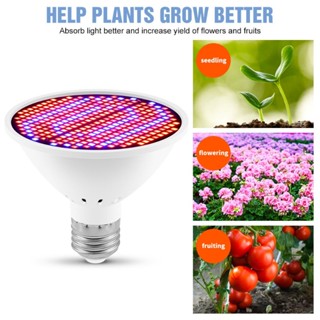 ไฟ LED สำหรับปลูกพืช ไฟปลูก ไฟปลูกต้นไม้ LED 300LED คุณภาพสูง Grow Light หลอดไฟ E27 Full Spectrum Led Phyto โคมไฟ Growth