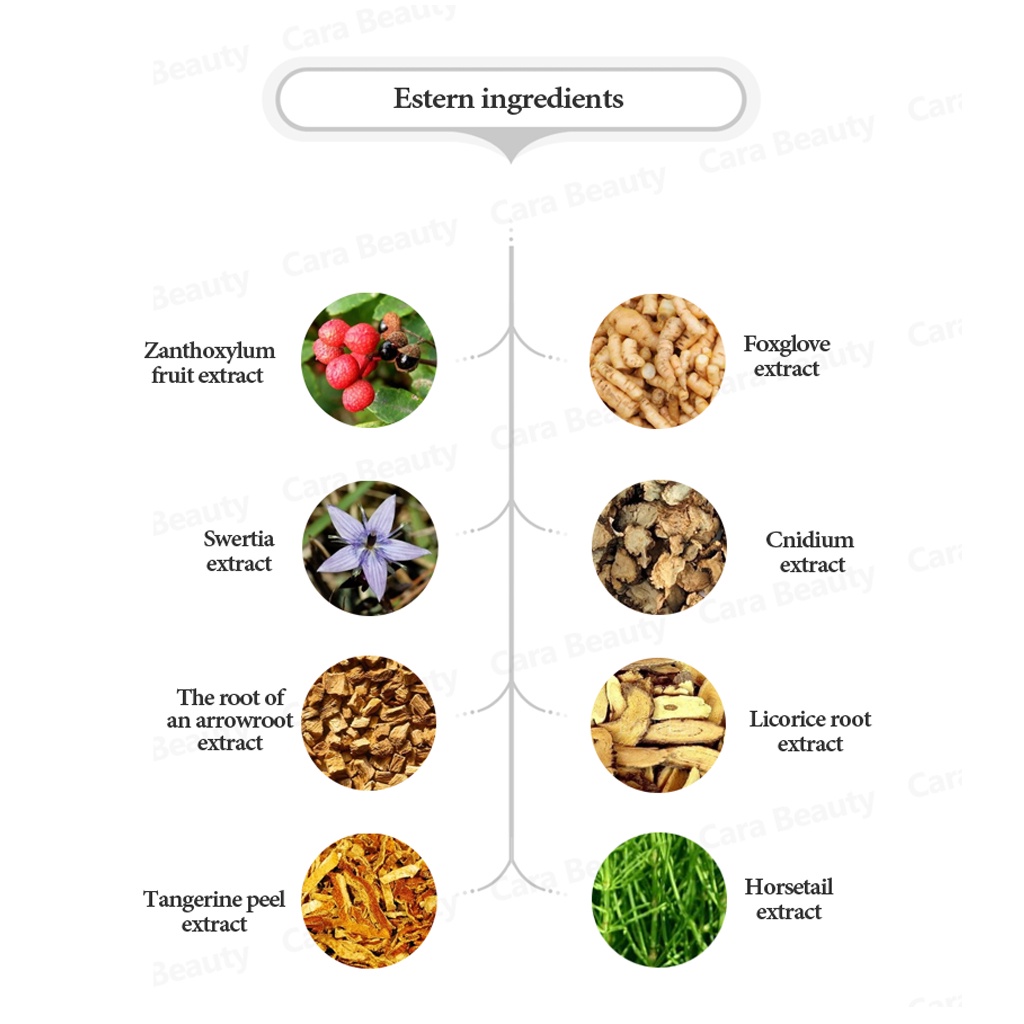 dr-k-roots-essential-control-แชมพู-โทนนิค